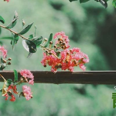 leyu·乐鱼(中国)体育app下载